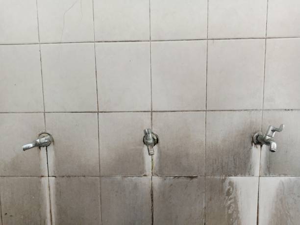 Trusted Coalville, UT Water damage restoration Experts